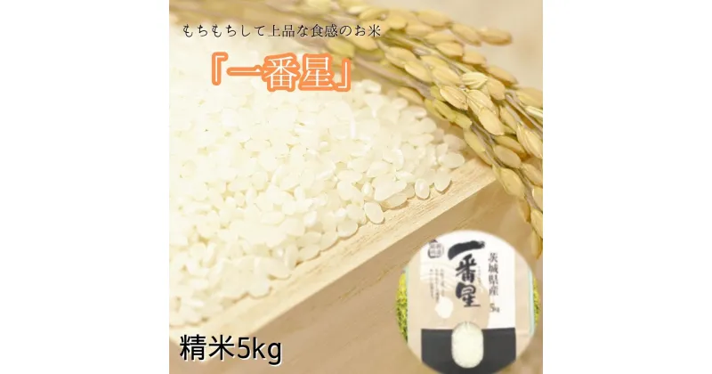 【ふるさと納税】もちもちで上品な食感「一番星」精米5kg