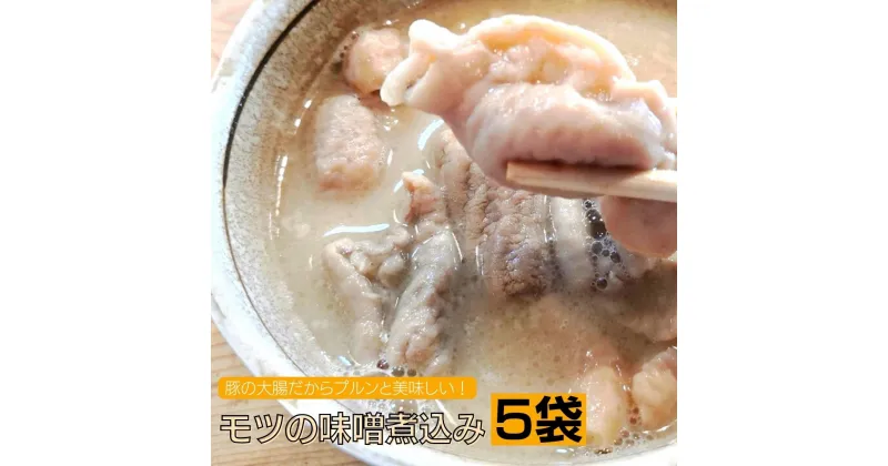 【ふるさと納税】豚の大腸だからプルンと美味しい！モツの味噌煮込み（5袋）