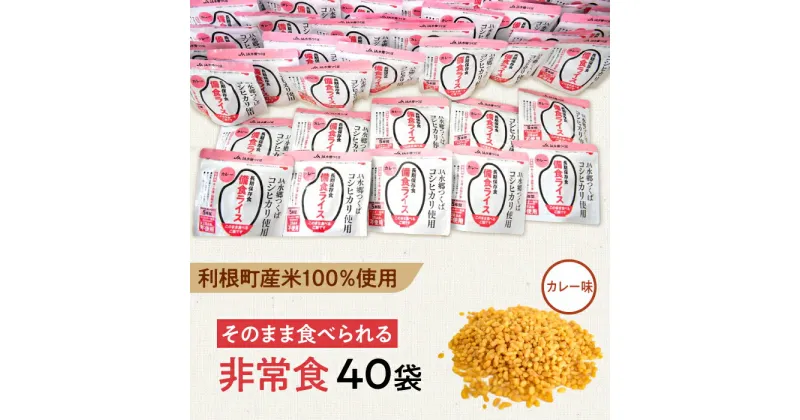 【ふるさと納税】利根町産米100％使用　水不要！そのまま食べられる【非常食・備食ライス】カレー味（40袋）