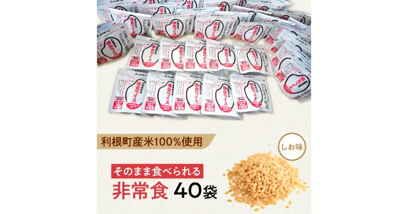 【ふるさと納税】利根町産米100％使用　水不要！そのまま食べられる【非常食・備食ライス】しお味（40袋）