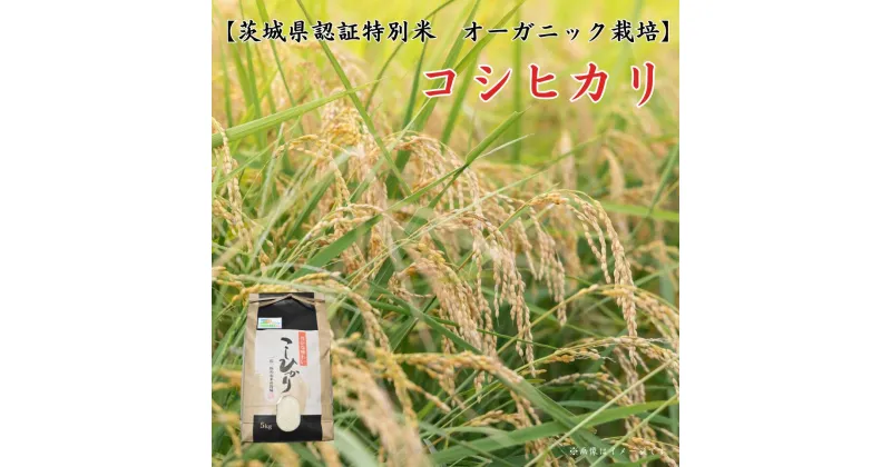 【ふるさと納税】コシヒカリ【茨城県認証米／オーガニック栽培】