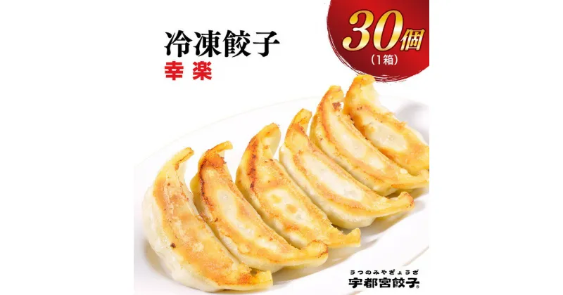 【ふるさと納税】宇都宮餃子【幸楽】餃子 30個入り【ぎょうざ ギョウザ ギョーザ 冷凍食品 冷凍餃子 惣菜 夜ご飯 おかず おつまみ 手軽 時短 お取り寄せ グルメ 送料無料 栃木県 宇都宮市】※配送不可地域：離島