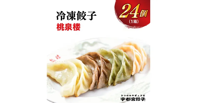 【ふるさと納税】【桃泉楼】餃子 24個入り【ぎょうざ ギョウザ ギョーザ 冷凍食品 冷凍餃子 惣菜 夜ご飯 おかず おつまみ 手軽 時短 お取り寄せ グルメ 送料無料 栃木県 宇都宮市】※配送不可地域：離島