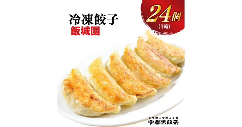 【ふるさと納税】【飯城園】餃子 24個入り【ぎょうざ ギョウザ ギョーザ 冷凍食品 冷凍餃子 惣菜 夜ご飯 おかず おつまみ 手軽 時短 お取り寄せ グルメ 送料無料 栃木県 宇都宮市】※配送不可地域：離島