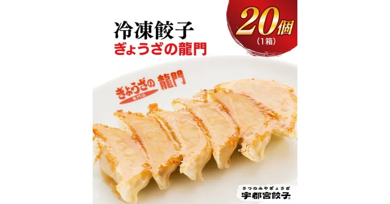 【ふるさと納税】【龍門】餃子 20個入り【ぎょうざ ギョウザ ギョーザ 冷凍食品 冷凍餃子 惣菜 夜ご飯 おかず おつまみ 手軽 時短 お取り寄せ グルメ 送料無料 栃木県 宇都宮市】※配送不可地域：離島