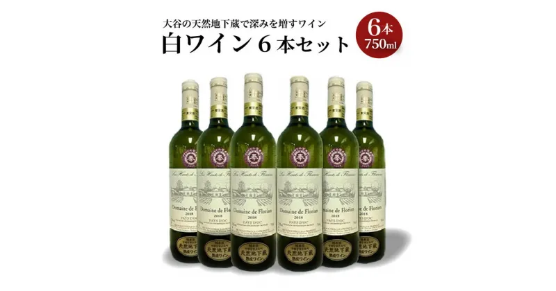 【ふるさと納税】大谷の天然地下蔵で深みを増すワイン　白ワイン 6本セット【白ワイン お酒 ギフト 栃木県 宇都宮市 】※配送不可地域：離島