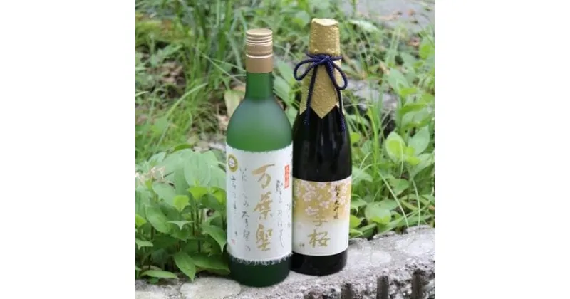 【ふるさと納税】四季桜 「 大吟醸万葉聖 」「 純米大吟醸山田錦 」セット 【 日本酒 飲み比べセット お酒 栃木県 宇都宮市 】