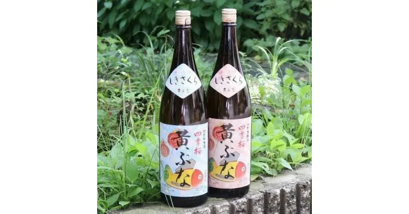 【ふるさと納税】四季桜 「純米黄ぶな」 「本醸造黄ぶな」無病息災セット 【 日本酒 飲み比べセット お酒 栃木県 宇都宮市 】