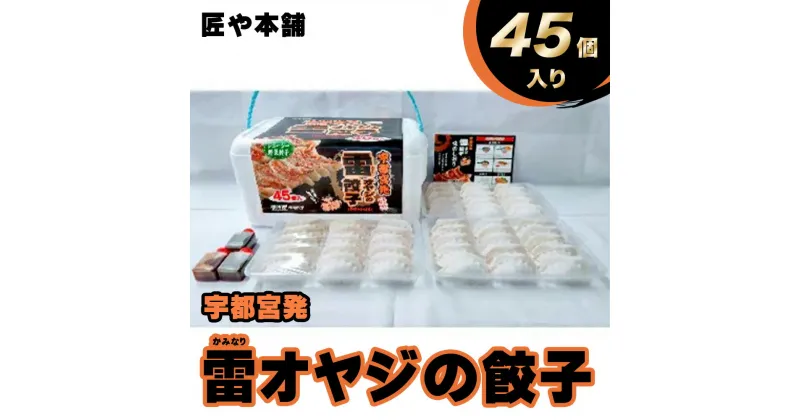 【ふるさと納税】宇都宮発 雷オヤジの餃子 45個入 (冷凍) 【 餃子 冷凍 ぎょうざ 栃木県 宇都宮市 】※配送不可地域：離島