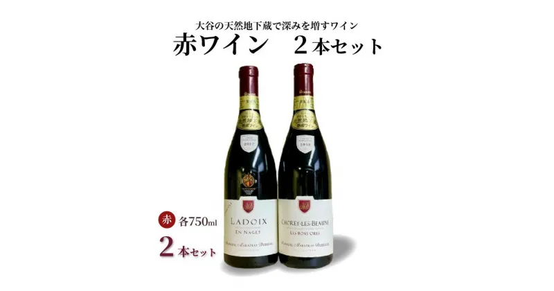 【ふるさと納税】大谷の天然地下蔵で深みを増すワイン 赤 2本セット【 赤ワイン お酒 飲み比べ セット ギフト 栃木県 宇都宮市 】※配送不可地域：離島