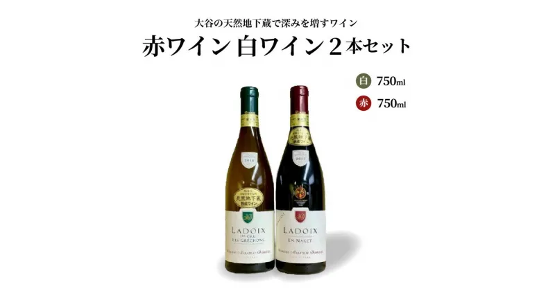 【ふるさと納税】大谷の天然地下蔵で深みを増すワイン 赤ワイン白ワイン 2本セット【 赤ワイン 白ワイン 飲み比べ ギフト 栃木県 宇都宮市 】※配送不可地域：離島