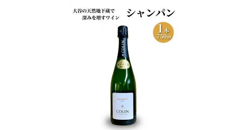 【ふるさと納税】大谷の天然地下蔵で深みを増すワイン シャンパン　1本【 ワイン シャンパン ギフト 栃木県 宇都宮市 】※配送不可地域：離島