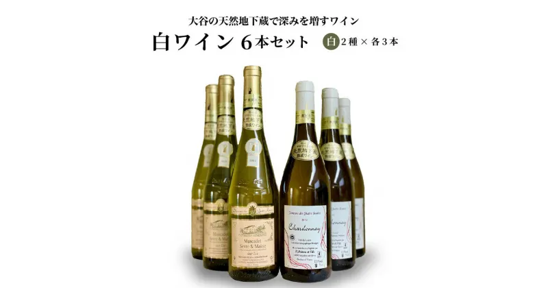 【ふるさと納税】大谷の天然地下蔵で深みを増すワイン 白 6本セット【 白ワイン 飲み比べ ギフト 栃木県 宇都宮市 】※配送不可地域：離島