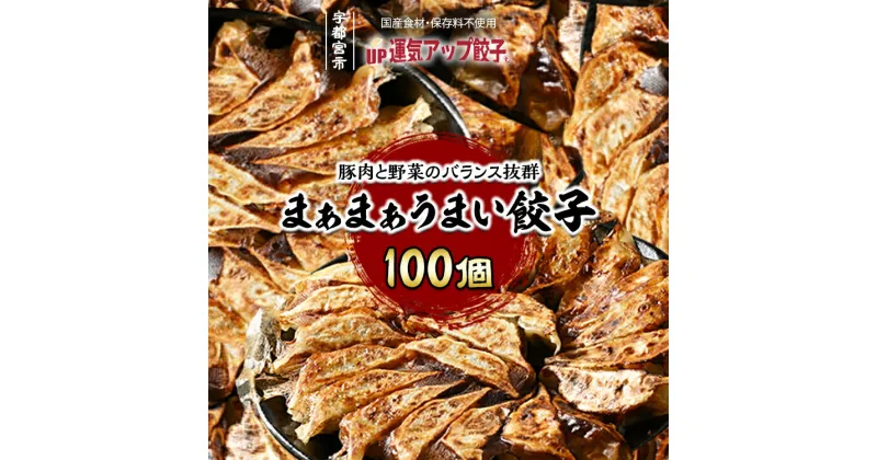 【ふるさと納税】宇都宮餃子 まあまあウマイ餃子 100個 保存料不使用【ぎょうざ ギョウザ ギョーザ 冷凍食品 冷凍餃子 惣菜 夜ご飯 おかず おつまみ 手軽 時短 お取り寄せ グルメ 送料無料 栃木県 宇都宮市】※配送不可地域：離島