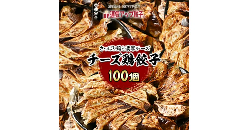 【ふるさと納税】宇都宮餃子 チーズ鶏餃子 100個 保存料不使用【ぎょうざ ギョウザ ギョーザ 冷凍食品 冷凍餃子 惣菜 夜ご飯 おかず おつまみ 手軽 時短 お取り寄せ グルメ 送料無料 栃木県 宇都宮市】※配送不可地域：離島