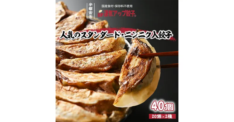 【ふるさと納税】宇都宮餃子 2種類味比べ(合計40個)【ぎょうざ ギョウザ ギョーザ 冷凍食品 冷凍餃子 惣菜 夜ご飯 おかず おつまみ 手軽 時短 お取り寄せ グルメ 送料無料 栃木県 宇都宮市】※配送不可地域：離島