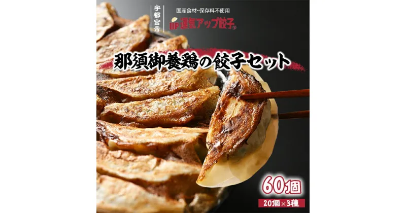 【ふるさと納税】宇都宮餃子 鶏餃子 3種類味比べ(合計60個)【ぎょうざ ギョウザ ギョーザ 冷凍食品 冷凍餃子 惣菜 夜ご飯 おかず おつまみ 手軽 時短 お取り寄せ グルメ 送料無料 栃木県 宇都宮市】※配送不可地域：離島