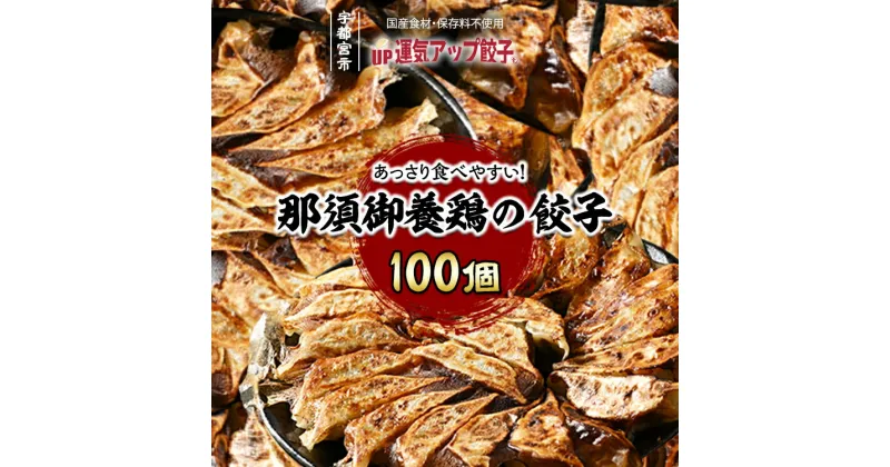 【ふるさと納税】宇都宮餃子 那須御養鶏の餃子 100個 保存料不使用【ぎょうざ ギョウザ ギョーザ 冷凍食品 冷凍餃子 惣菜 夜ご飯 おかず おつまみ 手軽 時短 お取り寄せ グルメ 送料無料 栃木県 宇都宮市】※配送不可地域：離島