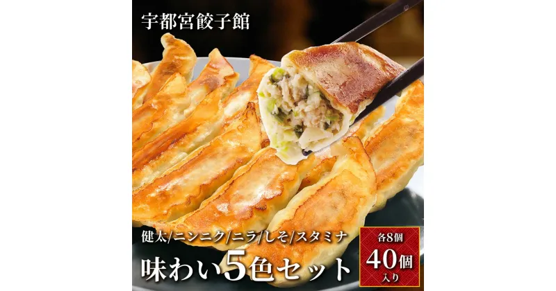 【ふるさと納税】「宇都宮餃子館」味わい5色セット (各8個入り)【 餃子 冷凍 ぎょうざ 食べ比べ 栃木県 宇都宮市 】※配送不可地域：離島