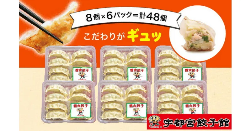 【ふるさと納税】「宇都宮餃子館」の 健太餃子 8個入り×6パック(計48個)【 餃子 冷凍 ぎょうざ 栃木県 宇都宮市 】※配送不可地域：離島