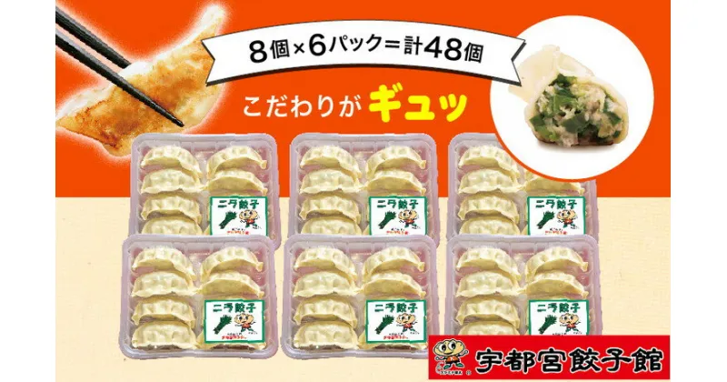 【ふるさと納税】「宇都宮餃子館」の ニラ餃子 8個入り×6パック(計48個)【 餃子 冷凍 ぎょうざ 栃木県 宇都宮市 】※配送不可地域：離島