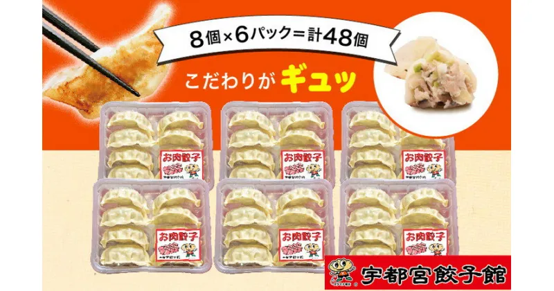 【ふるさと納税】「宇都宮餃子館」の お肉餃子 8個入り×6パック(計48個)【 餃子 冷凍 ぎょうざ 栃木県 宇都宮市 】※配送不可地域：離島