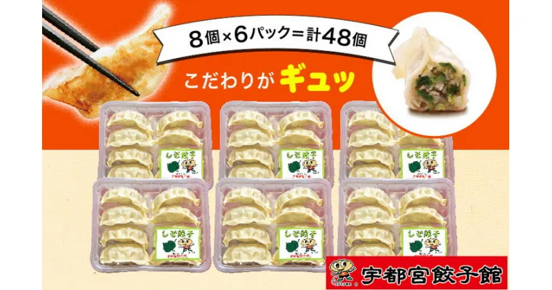 【ふるさと納税】「宇都宮餃子館」の しそ餃子 8個入り×6パック(計48個)【 餃子 冷凍 ぎょうざ 栃木県 宇都宮市 】※配送不可地域：離島