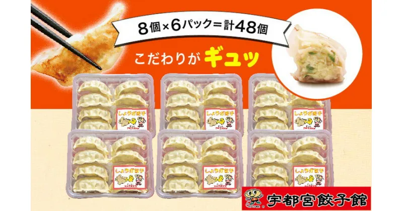 【ふるさと納税】「宇都宮餃子館」の しょうが餃子 8個入り×6パック(計48個)【 餃子 冷凍 ぎょうざ 栃木県 宇都宮市 】※配送不可地域：離島