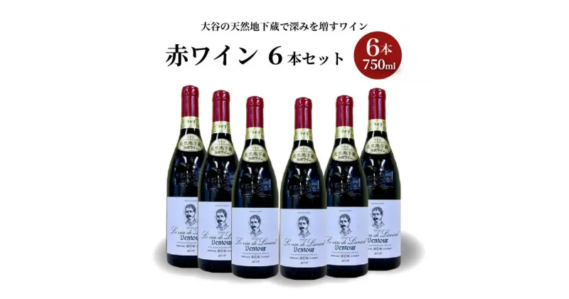 【ふるさと納税】大谷の天然地下蔵で深みを増すワイン 赤ワイン 6本セット【 赤ワイン お酒 飲み比べ セット ギフト 栃木県 宇都宮市 】※配送不可地域：離島