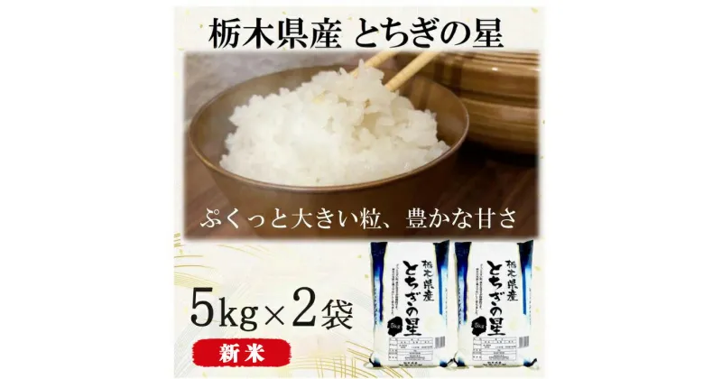 【ふるさと納税】【令和6年産・新米】栃木県産とちぎの星 （精米）5kg×2袋 ｜ お米 白米 一等米 送料無料 栃木県 宇都宮市　※離島への配送不可