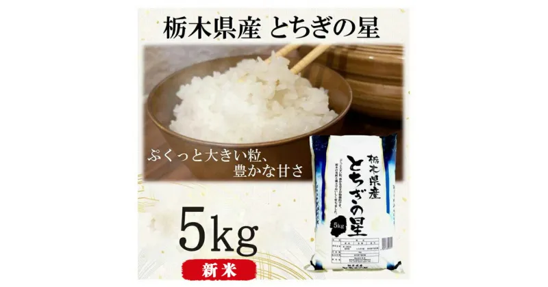 【ふるさと納税】【令和6年産・新米】栃木県産とちぎの星（精米）5kg×1袋 ｜ お米 白米 一等米 送料無料 栃木県 宇都宮市　※離島への配送不可