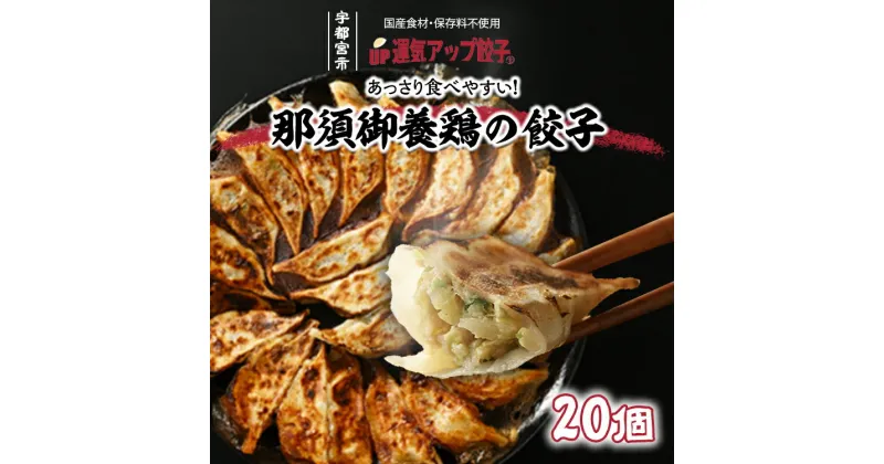 【ふるさと納税】宇都宮餃子 那須御養鶏の餃子 20個 保存料不使用【ぎょうざ ギョウザ ギョーザ 冷凍食品 冷凍餃子 惣菜 夜ご飯 おかず おつまみ 手軽 時短 お取り寄せ グルメ 送料無料 栃木県 宇都宮市】※配送不可地域：離島