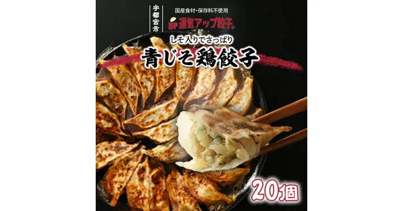 【ふるさと納税】宇都宮餃子 香り鮮やか 青じそ鶏餃子 20個 保存料不使用【ぎょうざ ギョウザ ギョーザ 冷凍食品 冷凍餃子 惣菜 夜ご飯 おかず おつまみ 手軽 時短 お取り寄せ グルメ 送料無料 栃木県 宇都宮市】※配送不可地域：離島