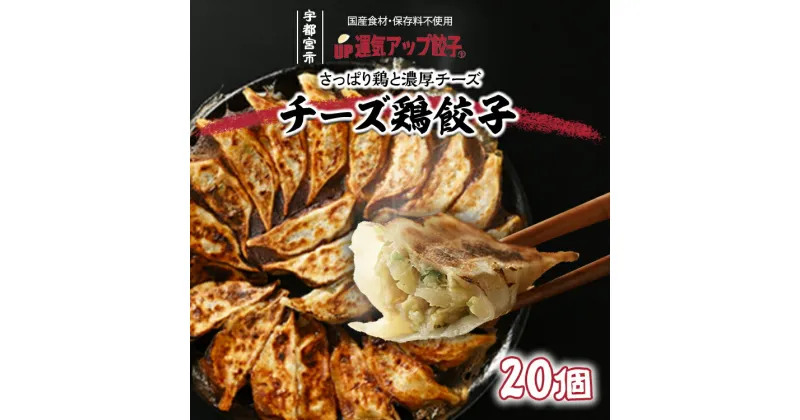 【ふるさと納税】＼レビュー投稿で米プレゼント／宇都宮餃子 チーズ鶏餃子 20個 保存料不使用【ぎょうざ ギョウザ ギョーザ 冷凍食品 冷凍餃子 惣菜 夜ご飯 おかず おつまみ 手軽 時短 お取り寄せ グルメ 送料無料 栃木県 宇都宮市】※配送不可地域：離島