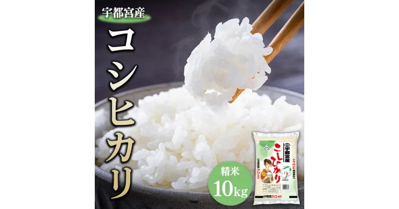 【ふるさと納税】【令和6年産】宇都宮産 コシヒカリ 精米10kg　※2024年10月上旬～2025年9月中旬頃に順次発送予定