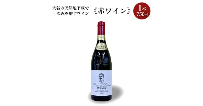 【ふるさと納税】大谷の天然地下蔵で深みを増すワイン 赤ワイン1本【 赤ワイン お酒 ギフト 栃木県 宇都宮市 】※配送不可地域：離島