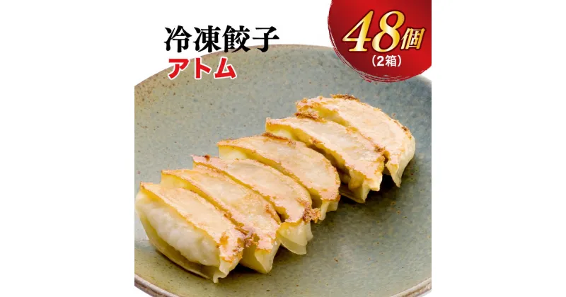 【ふるさと納税】【アトム】餃子 24個入り×2箱【ぎょうざ ギョウザ ギョーザ 冷凍食品 冷凍餃子 惣菜 夜ご飯 おかず おつまみ 手軽 時短 お取り寄せ グルメ 送料無料 栃木県 宇都宮市】※配送不可地域：離島