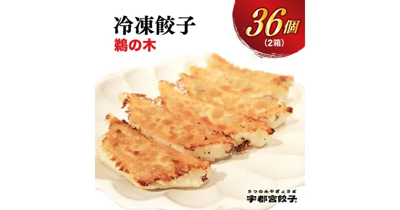 【ふるさと納税】【鵜の木】餃子 18個入り×2箱【ぎょうざ ギョウザ ギョーザ 冷凍食品 冷凍餃子 惣菜 夜ご飯 おかず おつまみ 手軽 時短 お取り寄せ グルメ 送料無料 栃木県 宇都宮市】※配送不可地域：離島