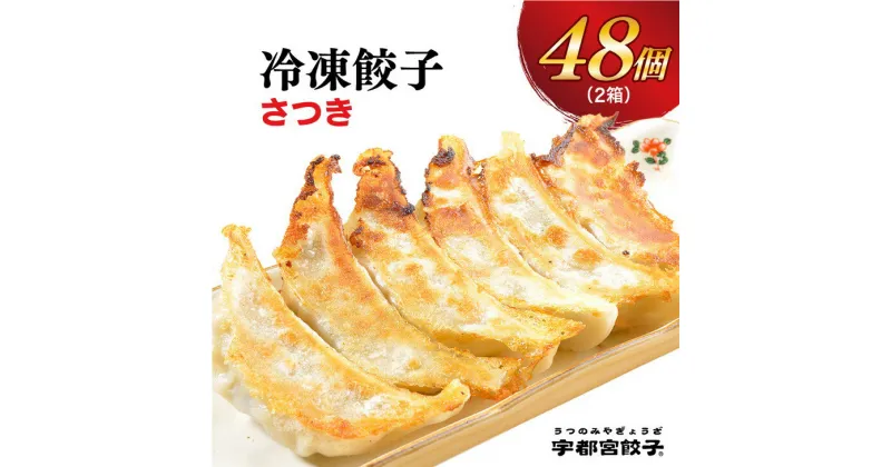 【ふるさと納税】【さつき】餃子 24個入り×2箱【ぎょうざ ギョウザ ギョーザ 冷凍食品 冷凍餃子 惣菜 夜ご飯 おかず おつまみ 手軽 時短 お取り寄せ グルメ 送料無料 栃木県 宇都宮市】※配送不可地域：離島