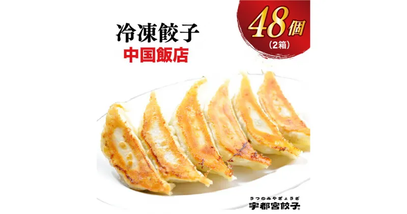 【ふるさと納税】【中国飯店】餃子 24個入り×2箱【ぎょうざ ギョウザ ギョーザ 冷凍食品 冷凍餃子 惣菜 夜ご飯 おかず おつまみ 手軽 時短 お取り寄せ グルメ 送料無料 栃木県 宇都宮市】※配送不可地域：離島