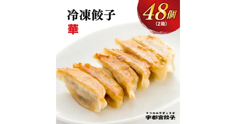 【ふるさと納税】【華】餃子 24個入り×2箱【ぎょうざ ギョウザ ギョーザ 冷凍食品 冷凍餃子 惣菜 夜ご飯 おかず おつまみ 手軽 時短 お取り寄せ グルメ 送料無料 栃木県 宇都宮市】※配送不可地域：離島