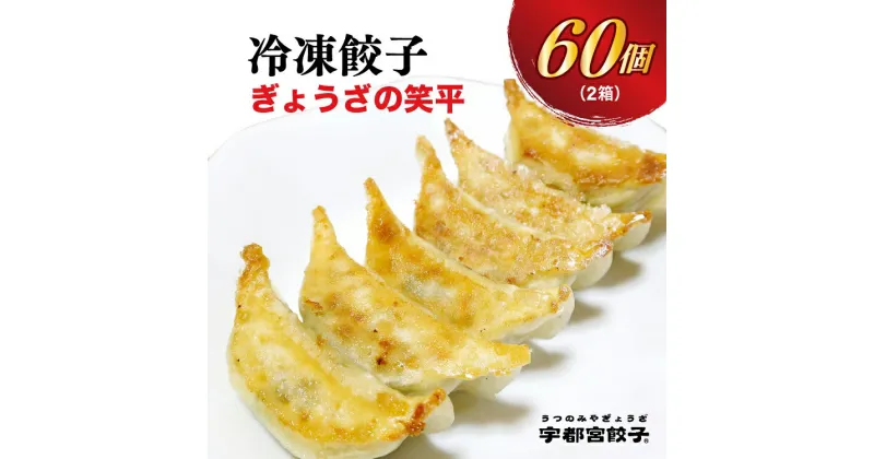 【ふるさと納税】【ぎょうざの笑平】餃子 30個入り×2箱【ぎょうざ ギョウザ ギョーザ 冷凍食品 冷凍餃子 惣菜 夜ご飯 おかず おつまみ 手軽 時短 お取り寄せ グルメ 送料無料 栃木県 宇都宮市】※離島への配送不可