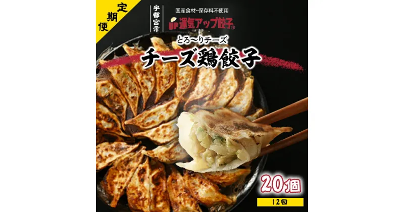 【ふるさと納税】【定期便12回】宇都宮餃子 チーズ鶏餃子 20個 保存料不使用【ぎょうざ ギョウザ ギョーザ 冷凍食品 冷凍餃子 惣菜 夜ご飯 おかず おつまみ 手軽 時短 お取り寄せ グルメ 送料無料 栃木県 宇都宮市】※配送不可地域：離島