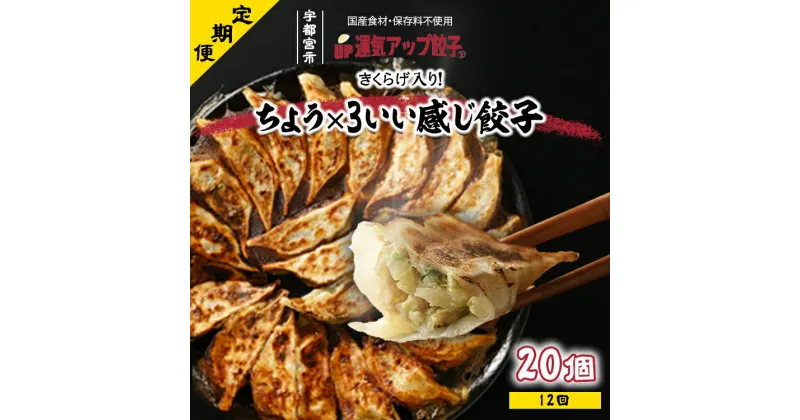 【ふるさと納税】【定期便12回】宇都宮餃子 ちょう×3いい感じ餃子 20個 保存料不使用【ぎょうざ ギョウザ ギョーザ 冷凍食品 冷凍餃子 惣菜 夜ご飯 おかず おつまみ 手軽 時短 お取り寄せ グルメ 送料無料 栃木県 宇都宮市】※配送不可地域：離島