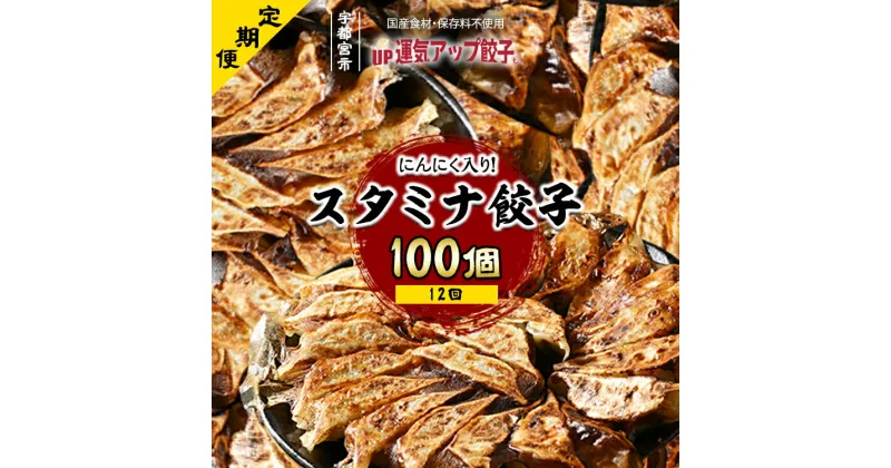 【ふるさと納税】【定期便12回】宇都宮餃子 ニンニクマシマシ スタミナ餃子 100個 保存料不使用【ぎょうざ ギョウザ ギョーザ 冷凍食品 冷凍餃子 惣菜 夜ご飯 おかず おつまみ 手軽 時短 お取り寄せ グルメ 送料無料 栃木県 宇都宮市】※配送不可地域：離島