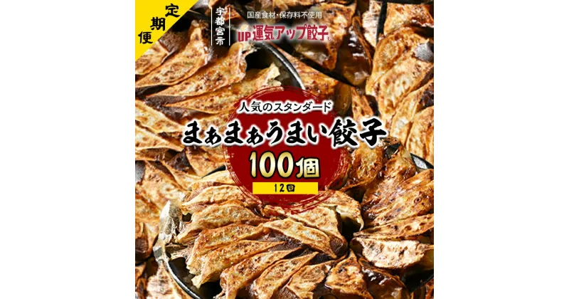 【ふるさと納税】【定期便12回】宇都宮餃子 まあまあウマイ餃子 100個 保存料不使用【 餃子 ぎょうざ 冷凍餃子 冷凍食品 惣菜 栃木県 宇都宮市 】※配送不可地域：離島