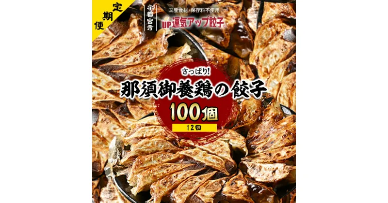 【ふるさと納税】【定期便12回】宇都宮餃子 那須御養鶏の餃子 100個 保存料不使用【ぎょうざ ギョウザ ギョーザ 冷凍食品 冷凍餃子 惣菜 夜ご飯 おかず おつまみ 手軽 時短 お取り寄せ グルメ 送料無料 栃木県 宇都宮市】※配送不可地域：離島