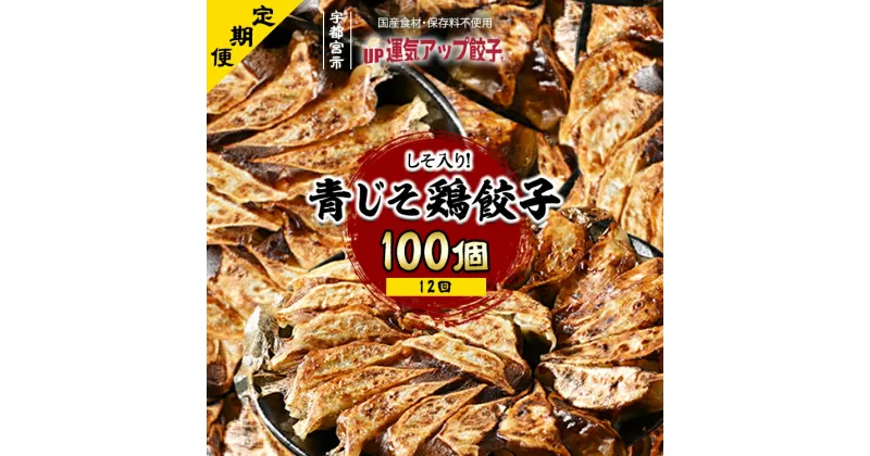 【ふるさと納税】【定期便12回】宇都宮餃子 香り鮮やか 青じそ鶏餃子 100個 保存料不使用【 餃子 ぎょうざ 冷凍餃子 冷凍食品 栃木県 宇都宮市 】※配送不可地域：離島