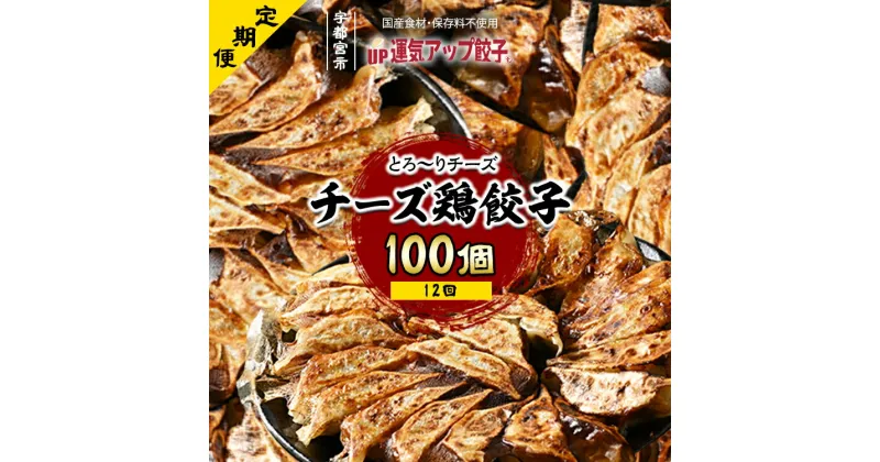 【ふるさと納税】【定期便12回】宇都宮餃子 チーズ鶏餃子 100個 保存料不使用【ぎょうざ ギョウザ ギョーザ 冷凍食品 冷凍餃子 惣菜 夜ご飯 おかず おつまみ 手軽 時短 お取り寄せ グルメ 送料無料 栃木県 宇都宮市】※配送不可地域：離島