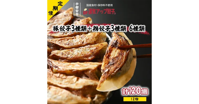 【ふるさと納税】【定期便12回】宇都宮餃子 6種類味比べ【ぎょうざ ギョウザ ギョーザ 冷凍食品 冷凍餃子 惣菜 夜ご飯 おかず おつまみ 手軽 時短 お取り寄せ グルメ 送料無料 栃木県 宇都宮市】※配送不可地域：離島